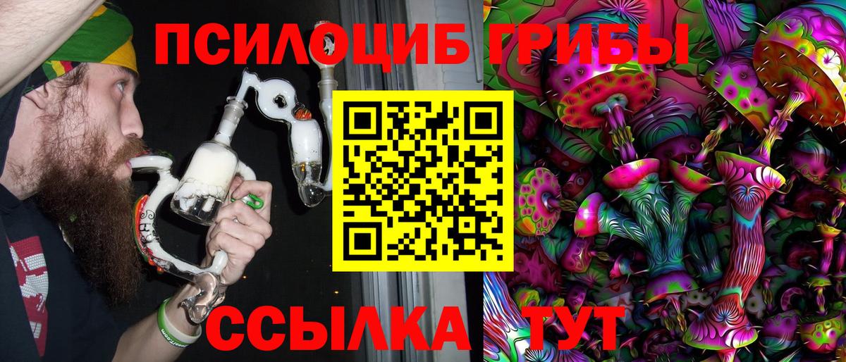 Псилоцибиновые грибы мицелий Ангарск