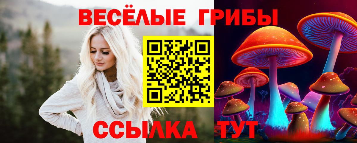 Ангарск  Галлюциногенные грибы Magic Shrooms  Псилоцибиновые грибы ЛСД  Вход с VPN 